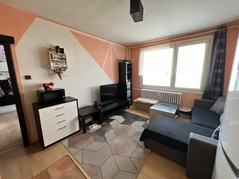 Prodej bytu 1+1, Pardubice - Zelené Předměstí, nábřeží Závodu míru, 40 m2