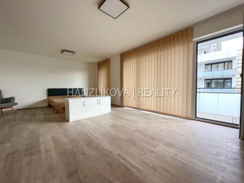 Pronájem bytu 1+kk, České Budějovice, O. Nedbala, 51 m2