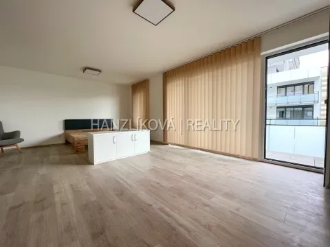 Pronájem bytu 1+kk, České Budějovice, O. Nedbala, 51 m2
