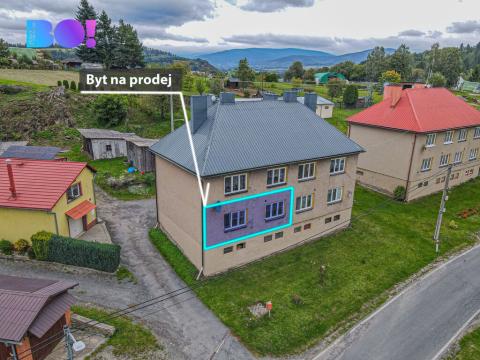 Prodej bytu 3+1, Hanušovice - Hynčice nad Moravou, 55 m2