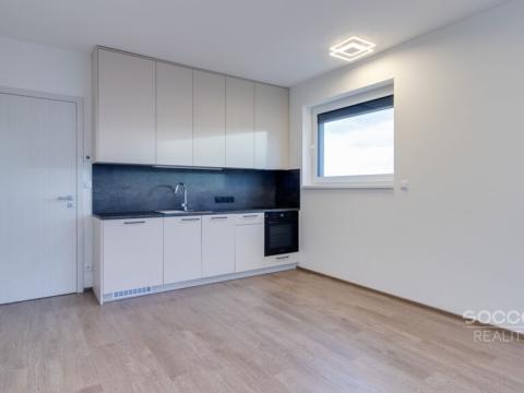 Pronájem bytu 1+kk, Praha - Chodov, Šternovská, 32 m2