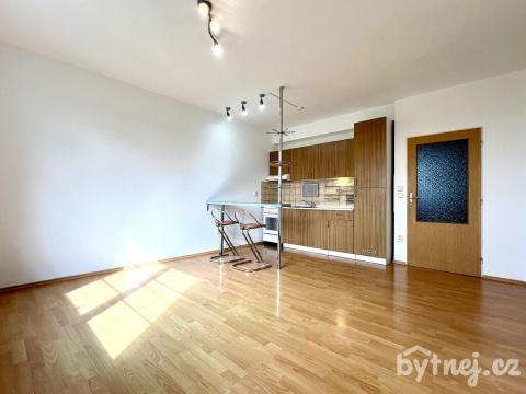 Pronájem bytu 1+kk, Olomouc - Slavonín, Topolová, 30 m2