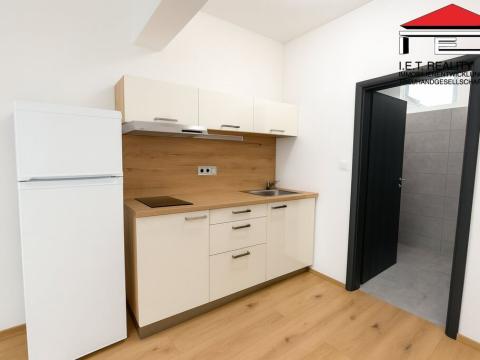 Pronájem bytu 1+kk, Brno, Slevačská, 24 m2