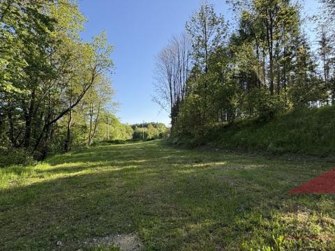 Prodej louky, Sušice, 2433 m2