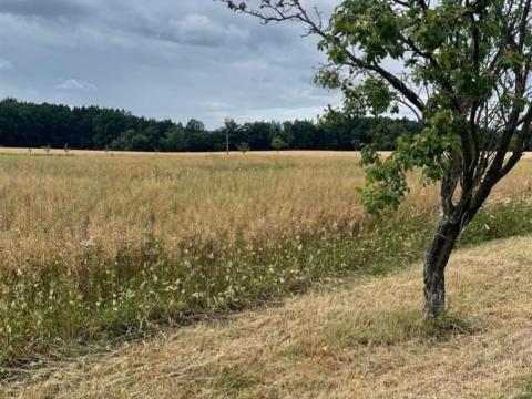 Prodej pozemku pro bydlení, Hřibiny-Ledská, 1109 m2