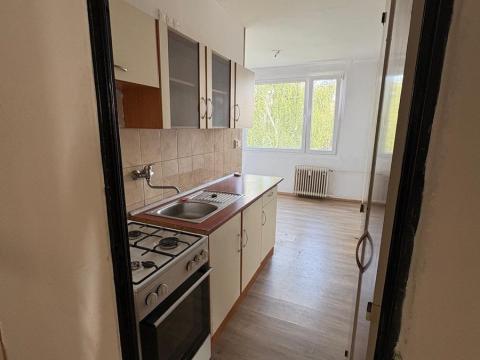 Pronájem bytu 1+1, Duchcov, V Domkách, 35 m2