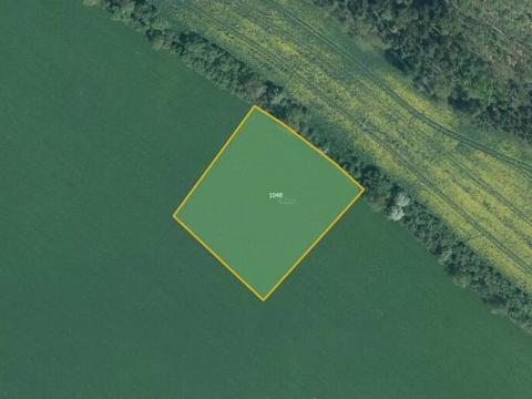 Prodej pole, Chocomyšl, 6221 m2