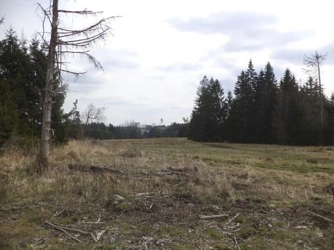 Dražba louky, Opatov, 22551 m2