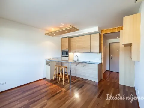 Pronájem bytu 1+kk, Praha - Vysočany, Podnádražní, 22 m2