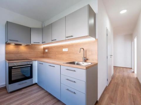 Pronájem bytu 3+1, Ústí nad Labem, Kmochova, 65 m2