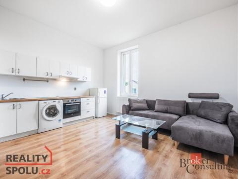 Pronájem bytu 1+kk, Ostrava - Vítkovice, Erbenova, 29 m2