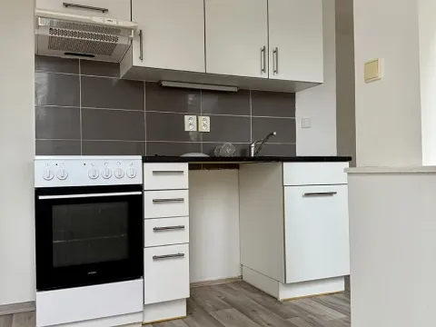 Pronájem bytu 1+kk, Plzeň, Úslavská, 39 m2