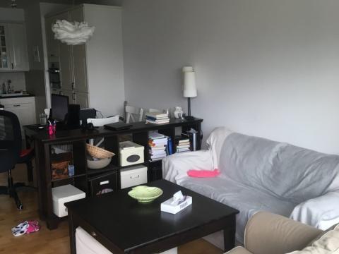 Pronájem bytu 2+kk, Praha - Karlín, Křižíkova, 55 m2