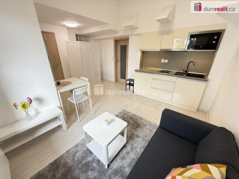 Pronájem bytu 2+kk, Praha - Vinohrady, Lublaňská, 40 m2