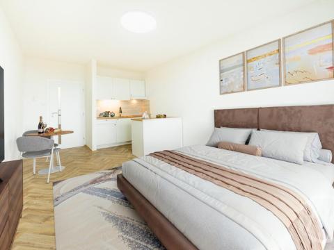 Pronájem bytu 1+kk, Ostrava - Zábřeh, Čujkovova, 28 m2