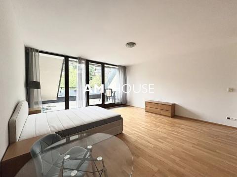 Pronájem bytu 1+kk, Praha - Žižkov, Pitterova, 44 m2