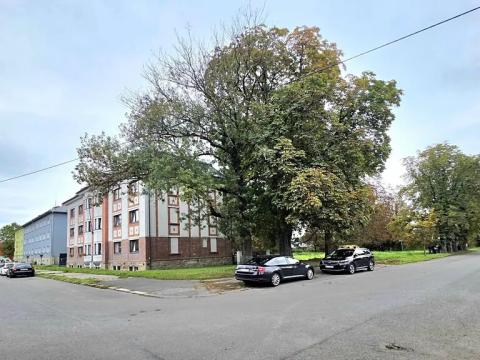 Prodej bytu 4+kk, Ostrava, Žofie Podlipské, 132 m2