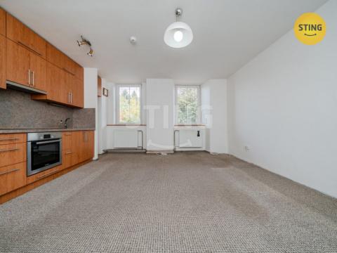 Prodej bytu 1+kk, Nový Jičín, 33 m2
