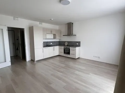 Pronájem bytu 1+kk, Praha - Horní Měcholupy, Hornoměcholupská, 38 m2