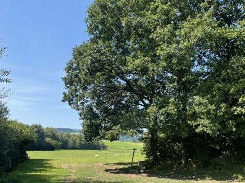 Prodej pozemku pro bydlení, Kolinec - Sluhov, 3805 m2