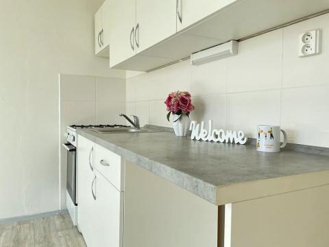 Pronájem bytu 1+1, Litvínov, Mládežnická, 38 m2