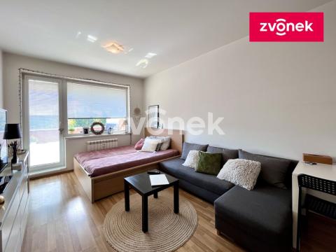 Pronájem bytu 1+kk, Zlín, Podlesí II, 33 m2