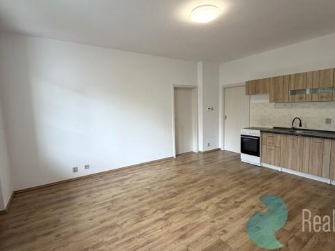 Pronájem bytu 2+kk, České Budějovice, Skuherského, 45 m2