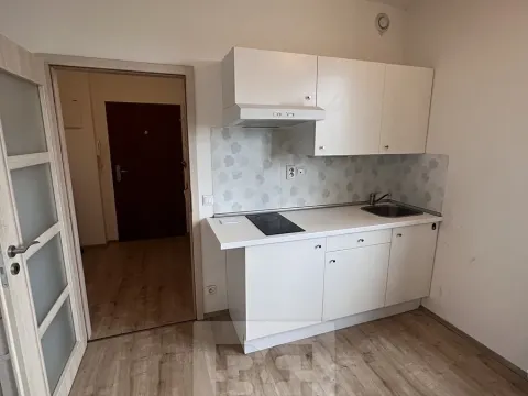 Pronájem bytu 1+kk, Praha - Vysočany, Freyova, 33 m2