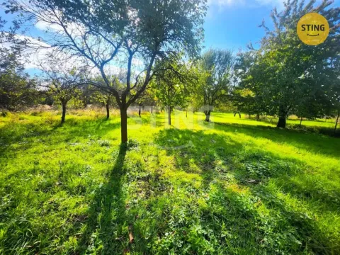 Prodej zahrady, Osek nad Bečvou, 2697 m2
