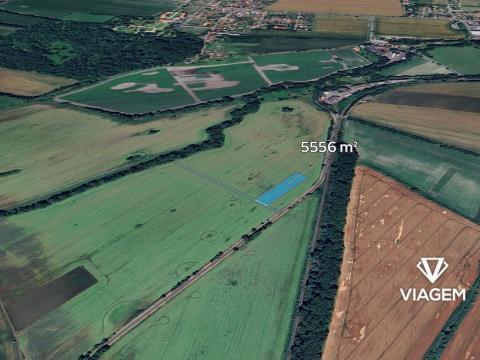 Prodej podílu pole, Čečelice, 2616 m2