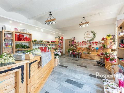 Prodej komerční, Ostrava - Mariánské Hory, 28. října, 198 m2