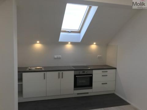 Pronájem bytu 1+kk, Teplice - Řetenice, Smetanova, 30 m2
