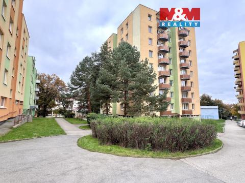 Pronájem bytu 3+1, Jindřichův Hradec - Jindřichův Hradec V, Kosmonautů, 76 m2