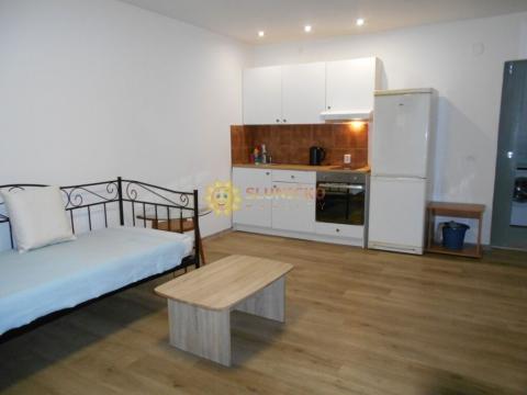 Pronájem bytu 1+kk, Hradec Králové - Svobodné Dvory, Bohdanečská, 25 m2