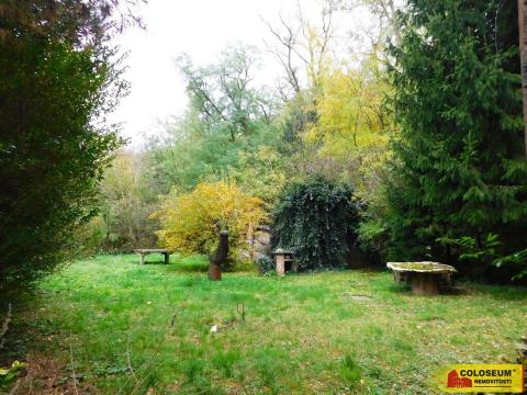 Prodej zahrady, Dyje, 482 m2