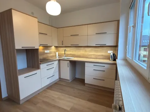 Pronájem bytu 2+1, Třinec, B. Němcové, 58 m2