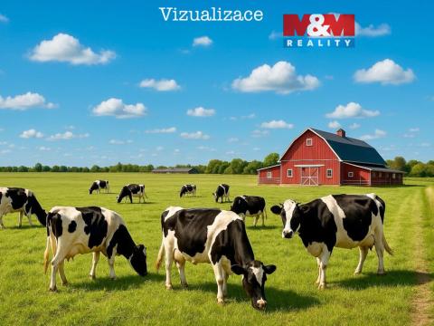 Prodej pole, Dolní Roveň - Komárov, 23163 m2