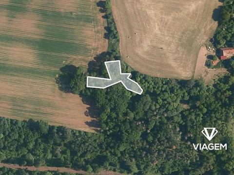 Prodej lesa, Katusice, 1936 m2