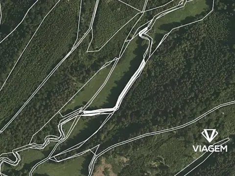 Prodej lesa, Třebovice, 657 m2