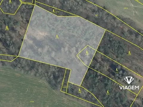 Prodej podílu lesa, Nosálov, 3167 m2