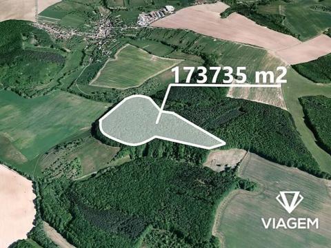 Prodej podílu lesa, Pašovice, 27921 m2