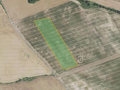 Prodej pole, Nesuchyně, 12842 m2