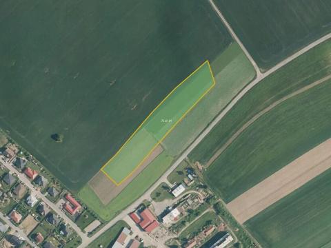 Prodej pole, Lipovec, 5133 m2