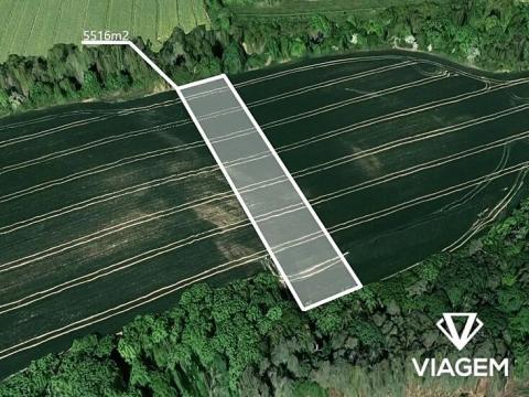 Prodej podílu pole, Bechlín, 1379 m2