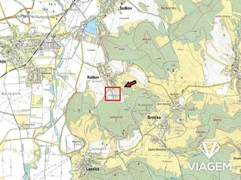 Prodej podílu zahrady, Kolšov, 3297 m2