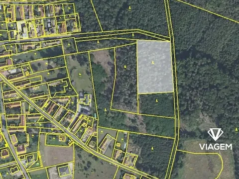 Prodej podílu lesa, Němčice, 1026 m2