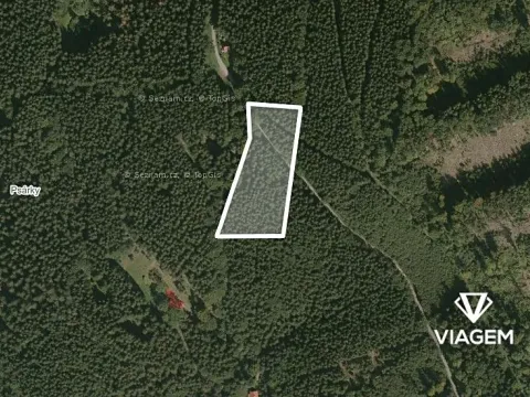 Prodej podílu lesa, Morávka, 4866 m2