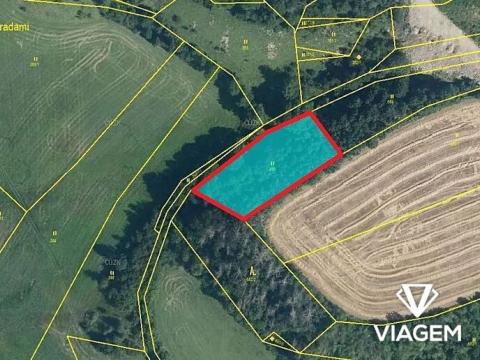 Prodej podílu lesa, Střemošice, 326 m2