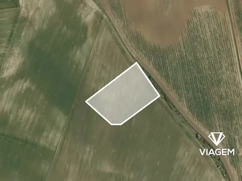 Prodej pole, Vinařice, 9786 m2