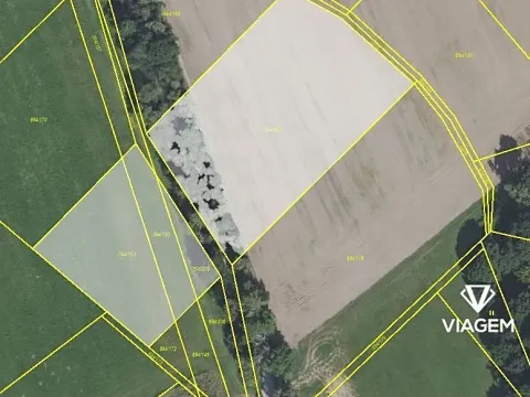 Prodej podílu pole, Škvorec, 1589 m2